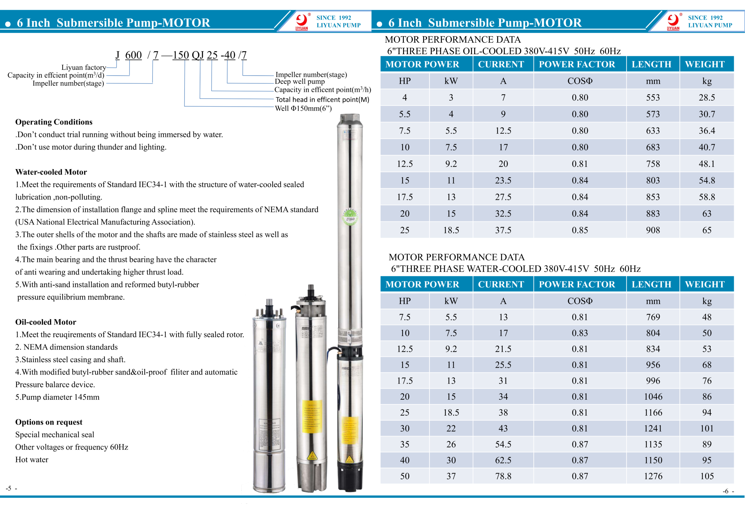 6 inch Submersible Pumps