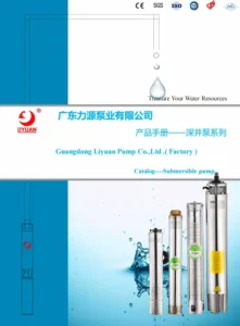 Liyuan Submersible Pumps Catalog
