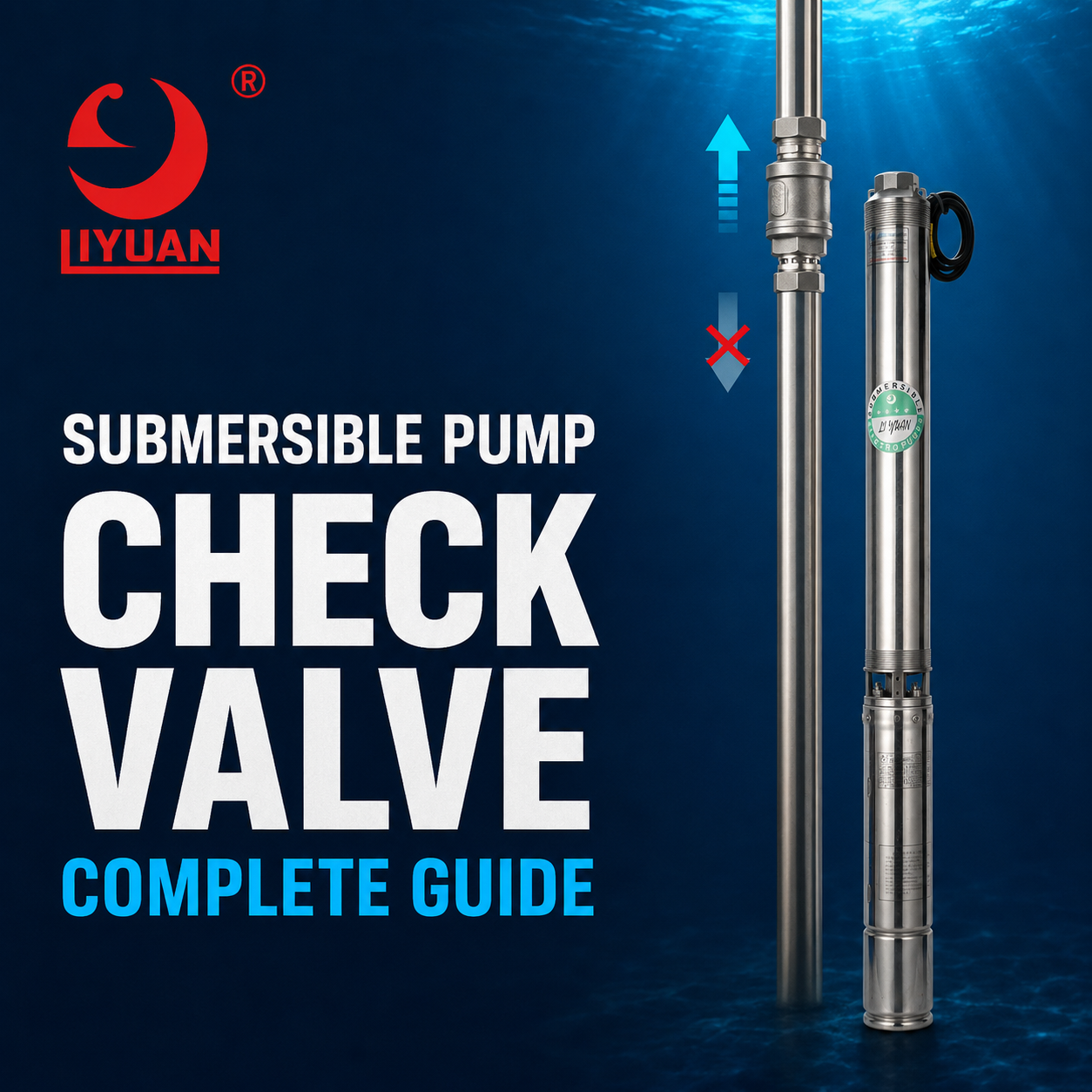 Submersible Pump Check Valve
